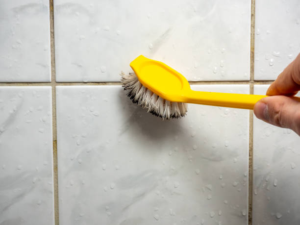 Best White Mold Remediation in Weldon, CA
